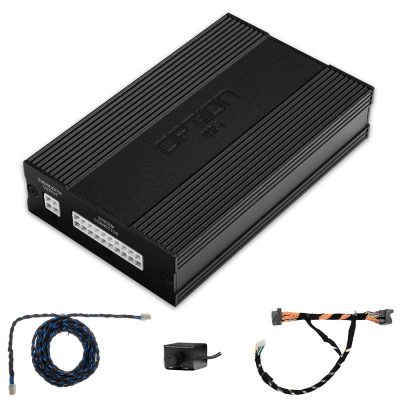 DSP-6.2 Verstärker für Cupra Tavascan (1. Gen.) inkl. Setup | OPTION