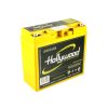 HOLLYWOOD SPV 20 – 20 Ah AGM-ekstrabatteri