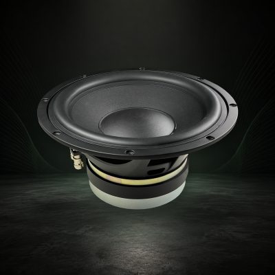SOaudio SO250 2x2 – 10 tommer high-end subwoofer